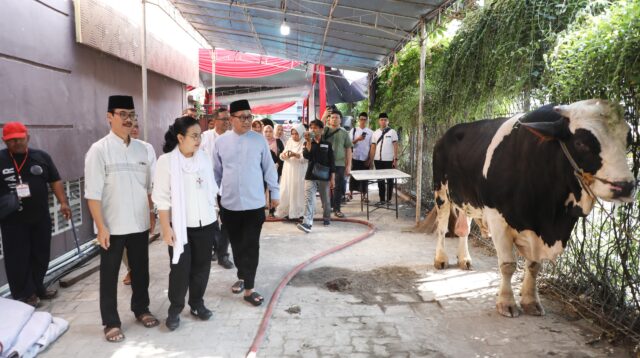 Tingkatkan Solidaritas dan Toleransi, Agustina Wali kota Semarang Serahkan Hewan Kurban Pada Perayaan Idul Adha