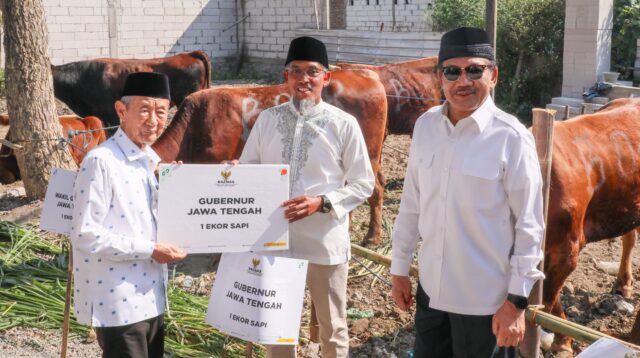 Baznas Jateng Sembelih 116 Sapi Kurban untuk Kornet