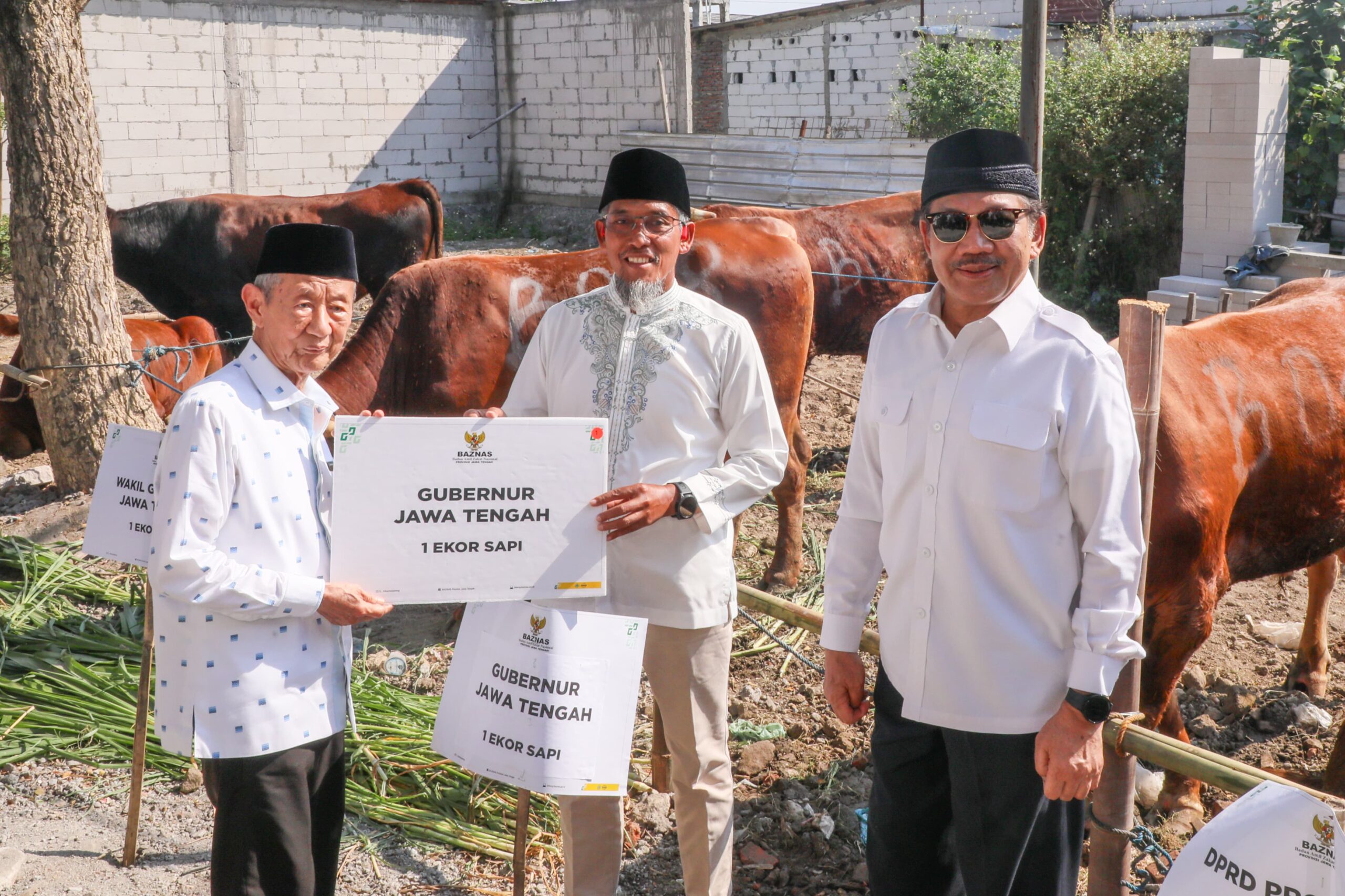 Baznas Jateng Sembelih 116 Sapi Kurban untuk Kornet
