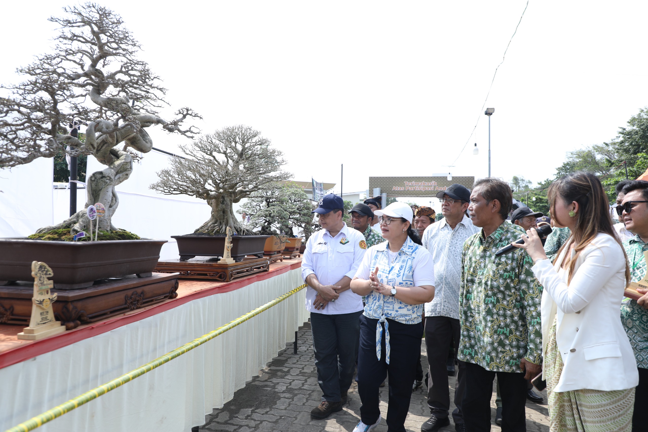 Gandeng PPBI, Pemkot Semarang Berencana Dirikan Akademi Bonsai