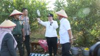 Agustina, Wali kota Semarang Akan Optimalkan Lahan Tidur untuk Ditanami Jagung