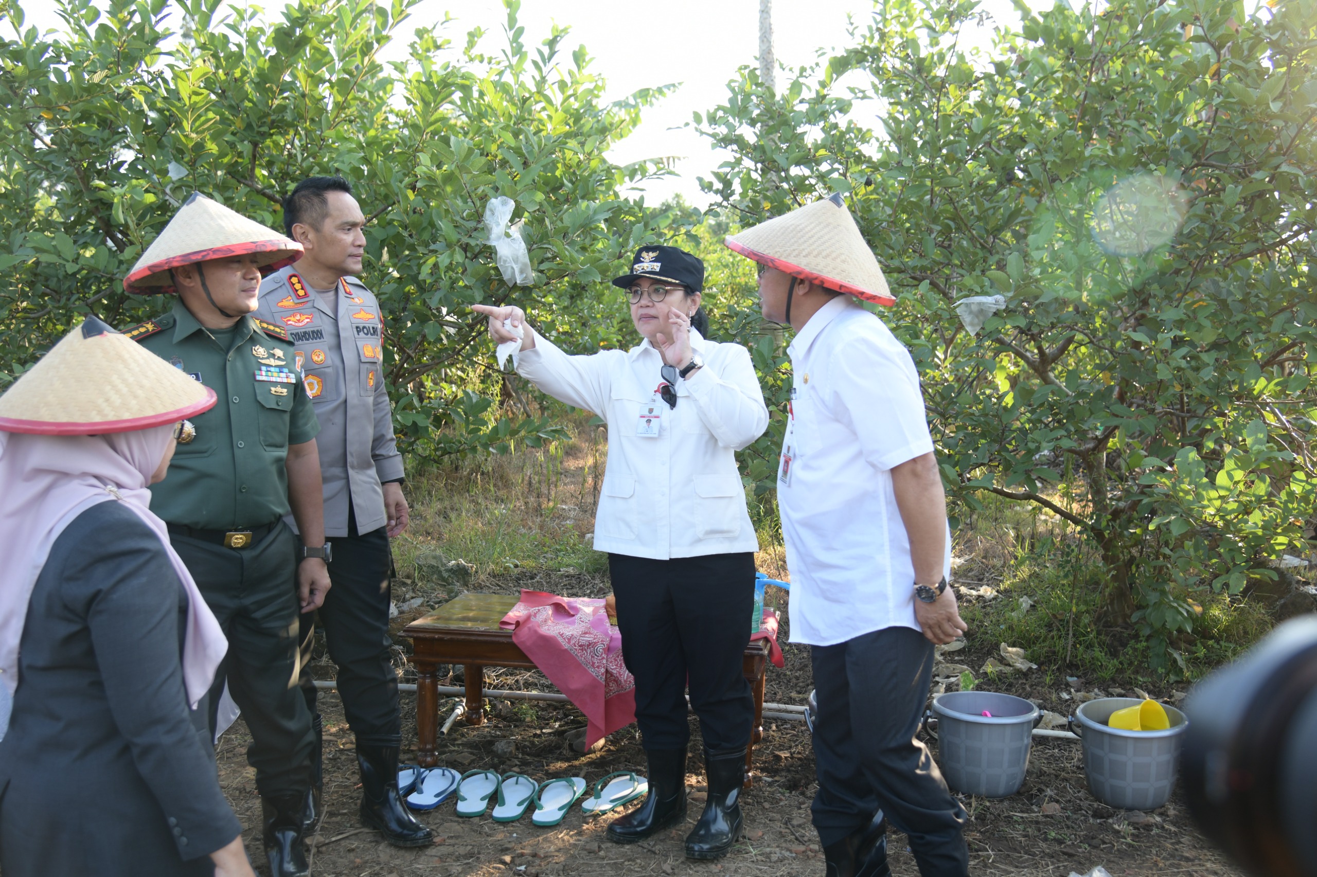 Agustina, Wali kota Semarang Akan Optimalkan Lahan Tidur untuk Ditanami Jagung