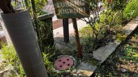 DLH Kota Semarang Perbanyak Biopori di 16 Kecamatan, Cegah Banjir dan Kelola Sampah Organik