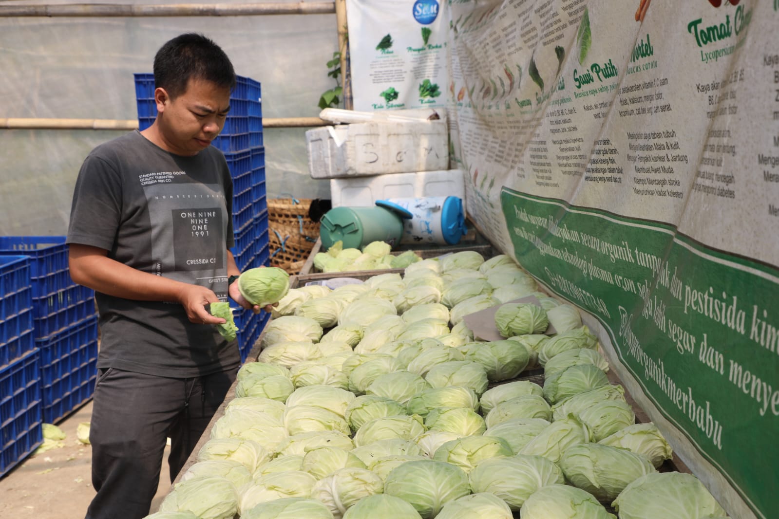 Program Zilenial Ahmad Luthfi Dukung Regenerasi Petani Muda Jawa Tengah