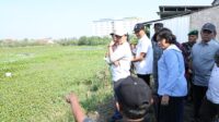Wali Kota Semarang, Agustina Wilujeng Pramestuti saat melakukan peninjauan lapangan ke salah satu lahan milik Pemkot yang diproyeksikan sebagai alternatif lokasi Tempat Pembuangan Sementara (TPS). (dok Pemkot Semarang)