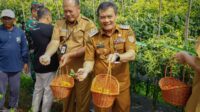 Gubernur Jawa Tengah Ahmad Luthfi disela acara tanam dan panen cabai di Desa Banyusidi, Kecamatan Pakis, Kabupaten Magelang, pada Senin, (22/9/2025). (dok Pemprov Jateng)