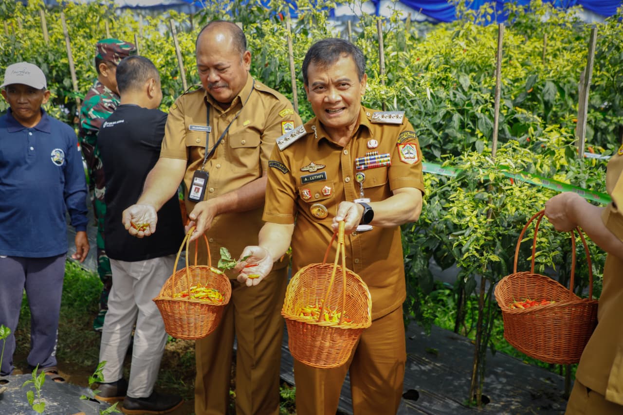 Gubernur Jawa Tengah Ahmad Luthfi disela acara tanam dan panen cabai di Desa Banyusidi, Kecamatan Pakis, Kabupaten Magelang, pada Senin, (22/9/2025). (dok Pemprov Jateng)