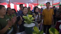 Pameran Tanaman Hias Kota Semarang Hidupkan Ekonomi Kreatif