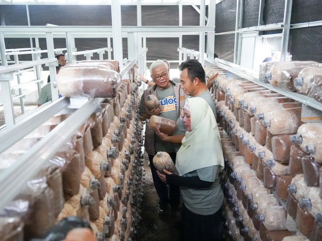 Bupati Sragen Dukung Upaya Bulog, Tingkatkan Ekonomi Warga Jekani Lewat Program Ecosociosystem Bupati Sragen Dukung Upaya Bulog, Tingkatkan Ekonomi Warga Jekani Lewat Program Ecosociosystem