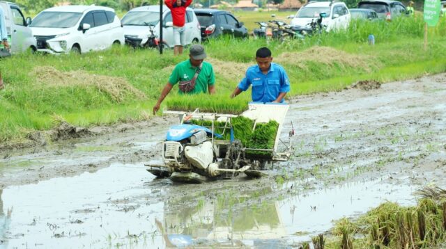 Produksi Pertanian dan Peternakan di Kabupaten Rembang Meningkat di 2025