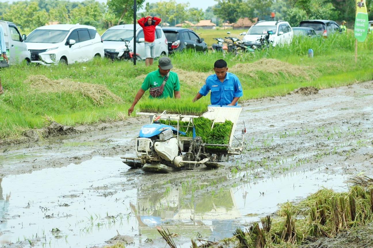 Produksi Pertanian dan Peternakan di Kabupaten Rembang Meningkat di 2025 Produksi Pertanian dan Peternakan di Kabupaten Rembang Meningkat di 2025