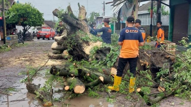 Januari Puncak Musim Hujan, Masyarakat Diminta Waspadai Bencana Hidrometeorologi