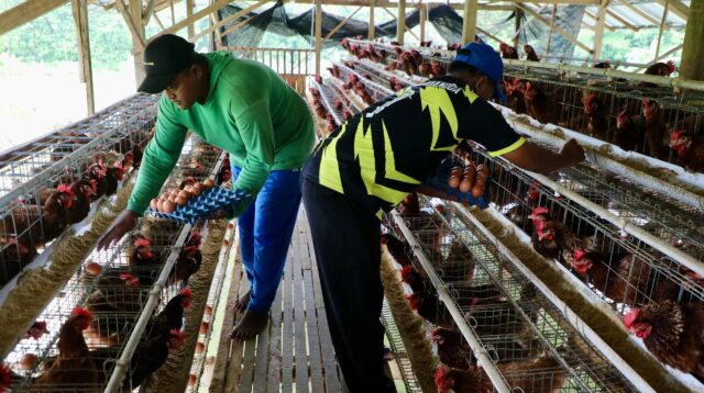 Naik Kelas, Ini Kisah Kaliwedi Sragen dari Tertinggal Menuju Desa Mandiri
