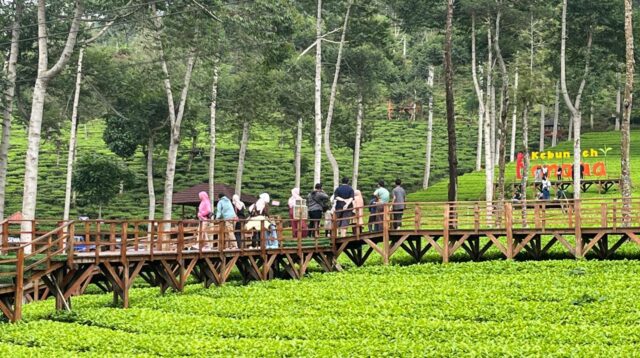 Libur Nataru, Wonosobo Dikunjungi Hampir 200 Ribu Orang
