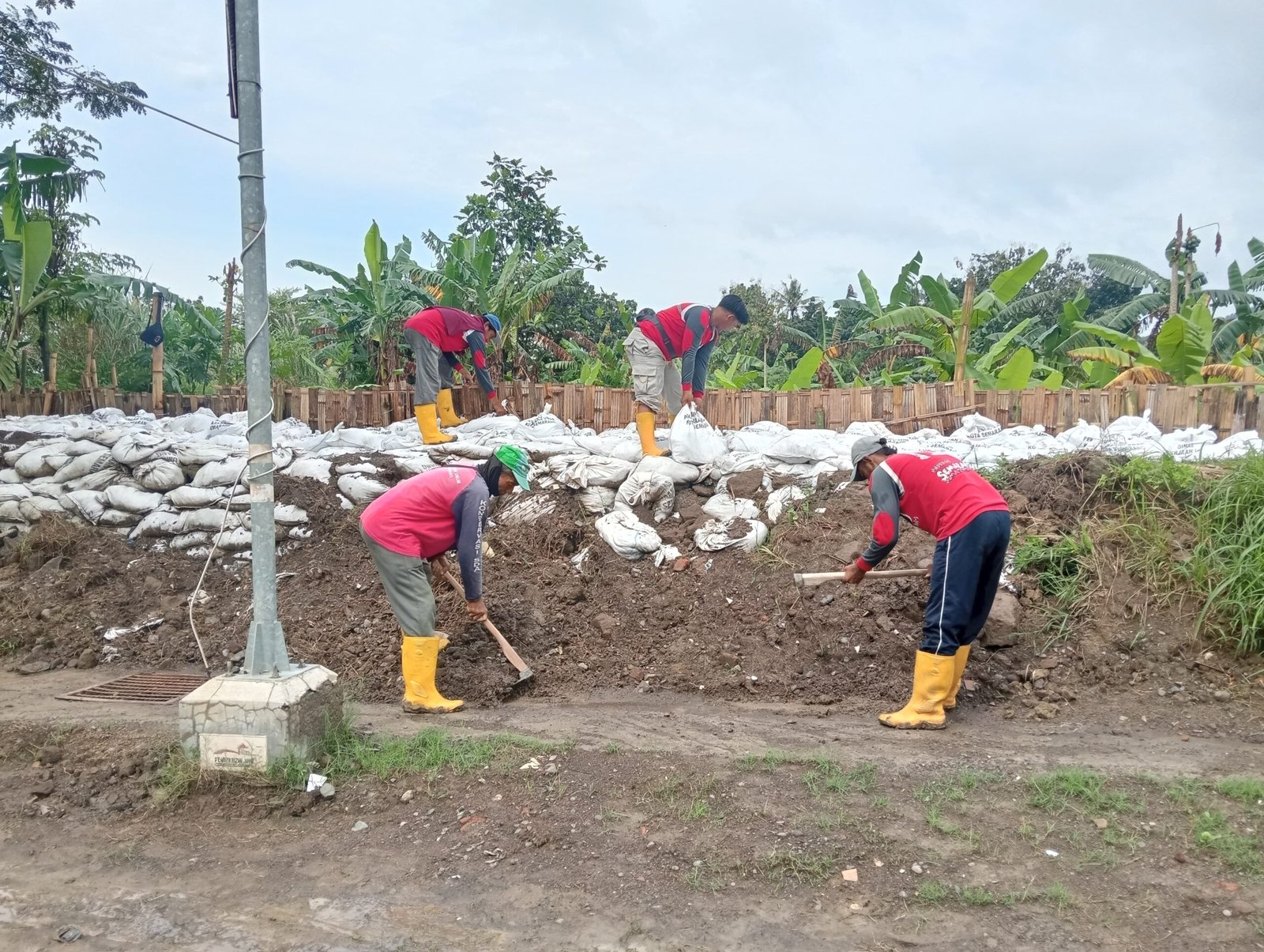 Pemkot Semarang Perkuat Tanggul Kali Babon Usai Banjir Akibat Hujan Ekstrem Pemkot Semarang Perkuat Tanggul Kali Babon Usai Banjir Akibat Hujan Ekstrem