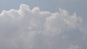 Berdasarkan data Badan Meteorologi, Klimatologi, dan Geofisika (BMKG), hujan ringan hingga sedang berpotensi terjadi di sebagian besar wilayah kota sepanjang hari.