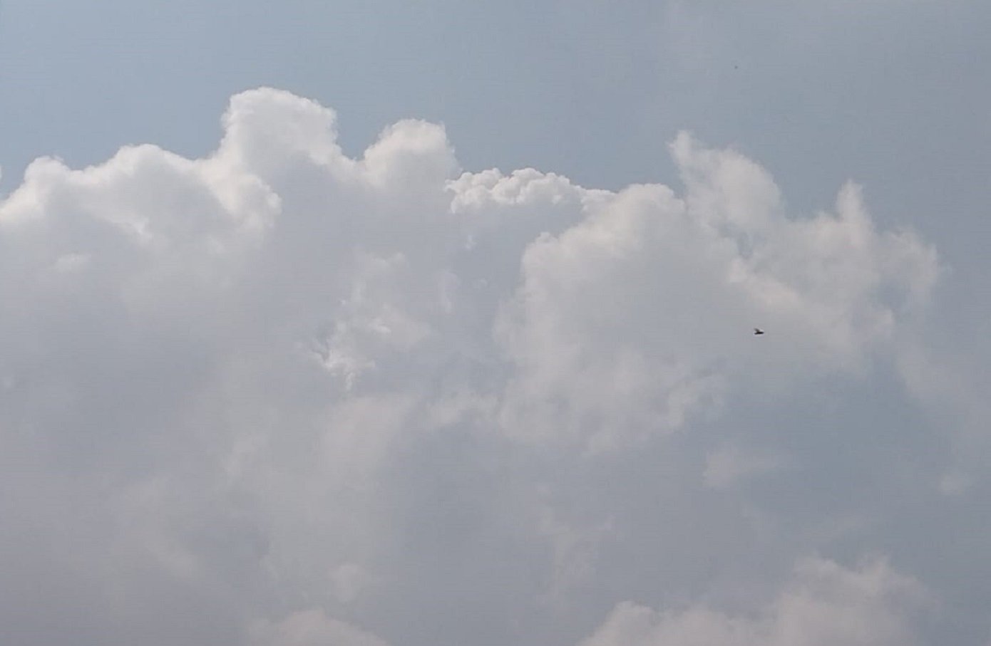 Berdasarkan data Badan Meteorologi, Klimatologi, dan Geofisika (BMKG), hujan ringan hingga sedang berpotensi terjadi di sebagian besar wilayah kota sepanjang hari.