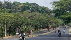 Tradisi Sedekah Bumi dan Wayang Kulit Dihidupkan Lagi, Warga Silayur Ruwat Jalur Rawan Kecelakaan