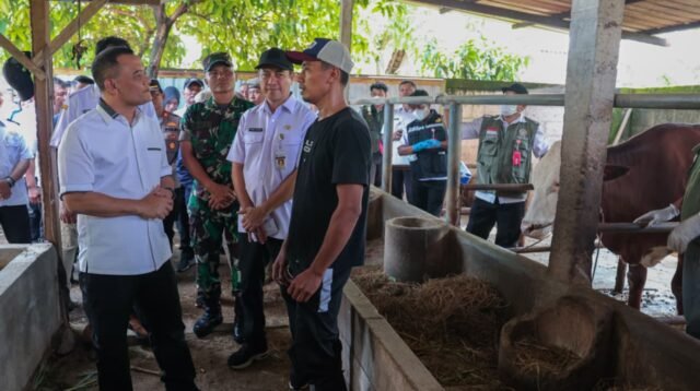 Jelang Iduladha, Ahmad Luthfi Dorong Intensifikasi Layanan Kesehatan Hewan Keliling di Jateng