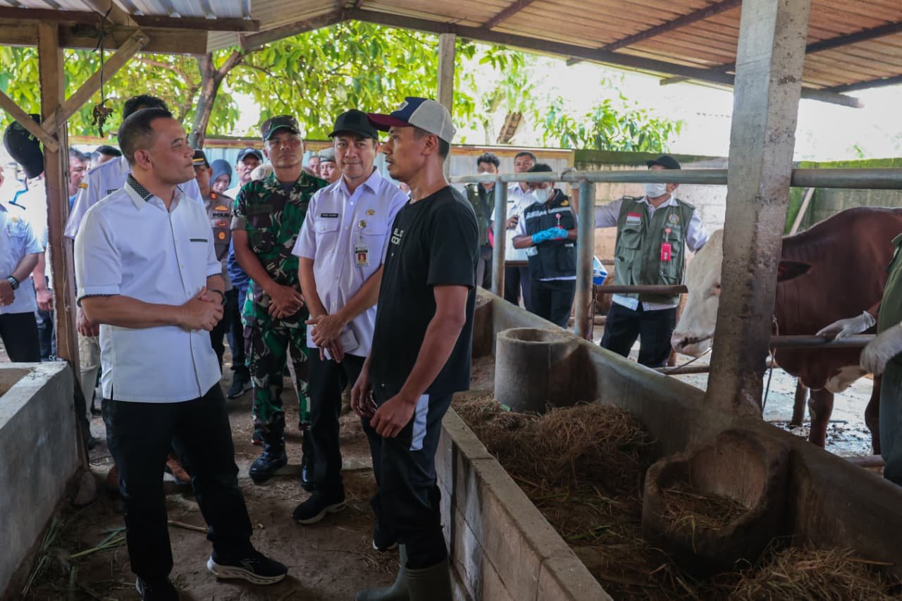 Jelang Iduladha, Ahmad Luthfi Dorong Intensifikasi Layanan Kesehatan Hewan Keliling di Jateng