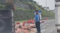 Truk Angkut Telur Terguling di Tol Gayamsari, Diduga Akibat Ban Pecah