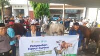 USM Salurkan Hewan Kurban untuk Warga Terdampak Rob dan Pesantren di Demak-Rembang