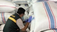 Ratusan Ton Cengkih Natuna Lolos Karantina, Siap Pasok Industri di Semarang