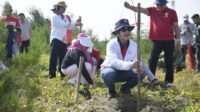Wali Kota Agustina Wilujeng Ajak Karang Taruna Rawat Cemara Laut di Tirang