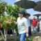 Agustina Resmikan Agro Eduwisata Masjid Agung, Dorong Wisata Pertanian