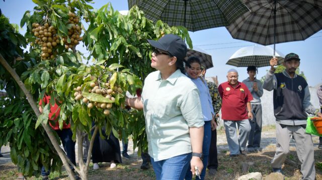 Agustina Resmikan Agro Eduwisata Masjid Agung, Dorong Wisata Pertanian