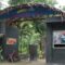 Pemkot Semarang Pastikan Penanganan Kematian Harimau Putih di Semarang Zoo Sesuai Prosedur