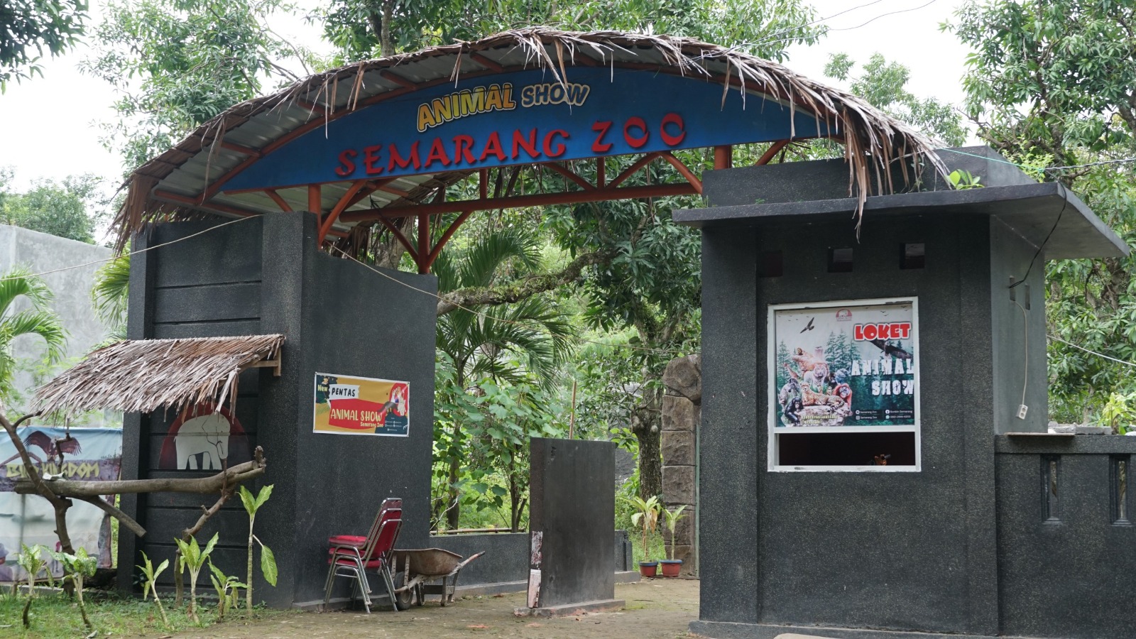 Pemkot Semarang Pastikan Penanganan Kematian Harimau Putih di Semarang Zoo Sesuai Prosedur Pemkot Semarang Pastikan Penanganan Kematian Harimau Putih di Semarang Zoo Sesuai Prosedur