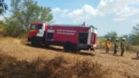 Semak Belukar di Bukit Teletubbies Tembalang Dilalap Api