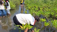 Mahasiswa BINUS dan KPA Mangrove Tanam 400 Mangrove untuk mencegah abrasi pesisir, Minggu (16/8/2026). Mahasiswa BINUS dan KPA Mangrove Tanam 400 Mangrove untuk mencegah abrasi pesisir, Minggu (16/8/2026).