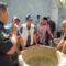 Pemkot Semarang Kembangkan Budidaya Ikan di Lahan Sempit Lewat Program Sunfish