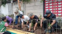 Warga Wonodri Sulap Taman DheDhe Jadi Lahan Urban Farming Cabai Warga Wonodri Sulap Taman DheDhe Jadi Lahan Urban Farming Cabai