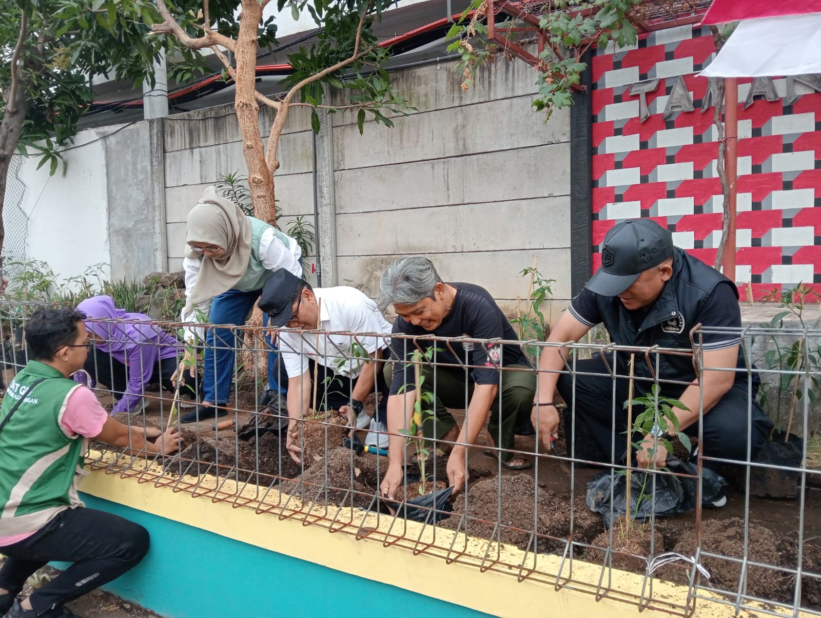 Warga Wonodri Sulap Taman DheDhe Jadi Lahan Urban Farming Cabai Warga Wonodri Sulap Taman DheDhe Jadi Lahan Urban Farming Cabai