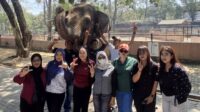 Hari Gajah Sedunia, Semarang Zoo Ajak Pengunjung Tingkatkan Kepedulian Konservasi