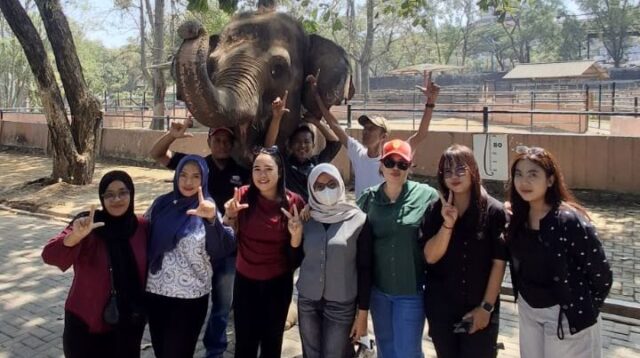 Hari Gajah Sedunia, Semarang Zoo Ajak Pengunjung Tingkatkan Kepedulian Konservasi