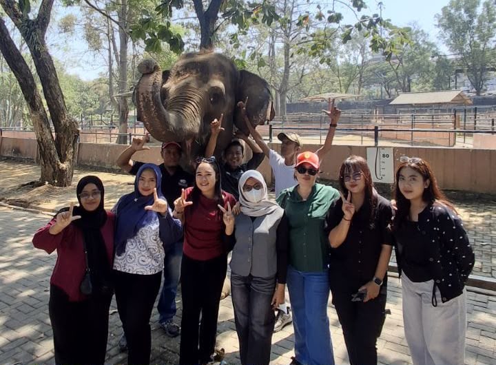 Hari Gajah Sedunia, Semarang Zoo Ajak Pengunjung Tingkatkan Kepedulian Konservasi