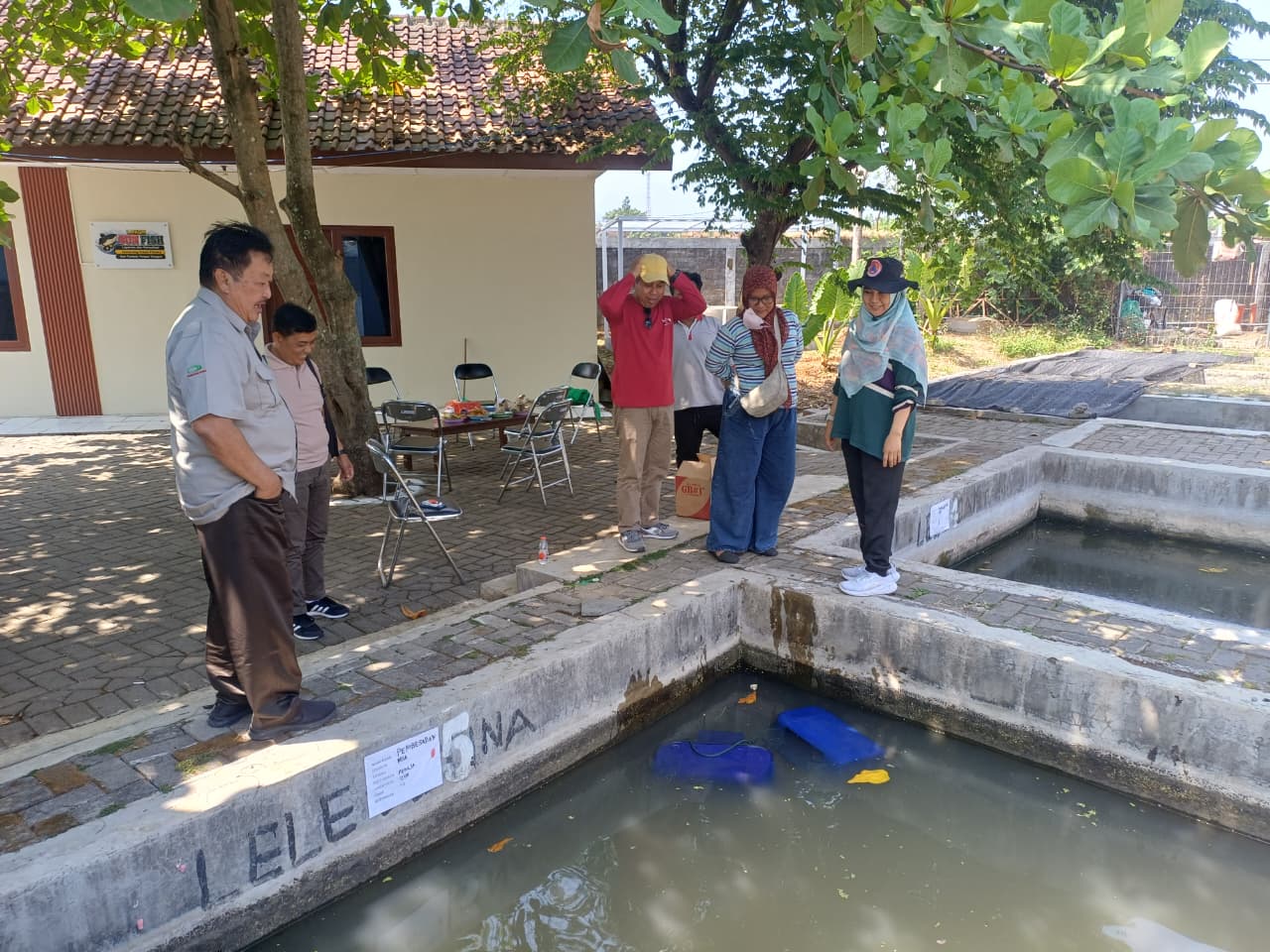 Bisa Tampung 1.000 Ekor, Dinas Perikanan Semarang Kaji Budi Daya Lele Buis Beton