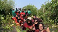 UKM PIB USM Tanam Mangrove di Pesisir Semarang, Wujudkan Kepedulian Lingkungan