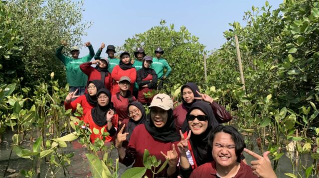 UKM PIB USM Tanam Mangrove di Pesisir Semarang, Wujudkan Kepedulian Lingkungan