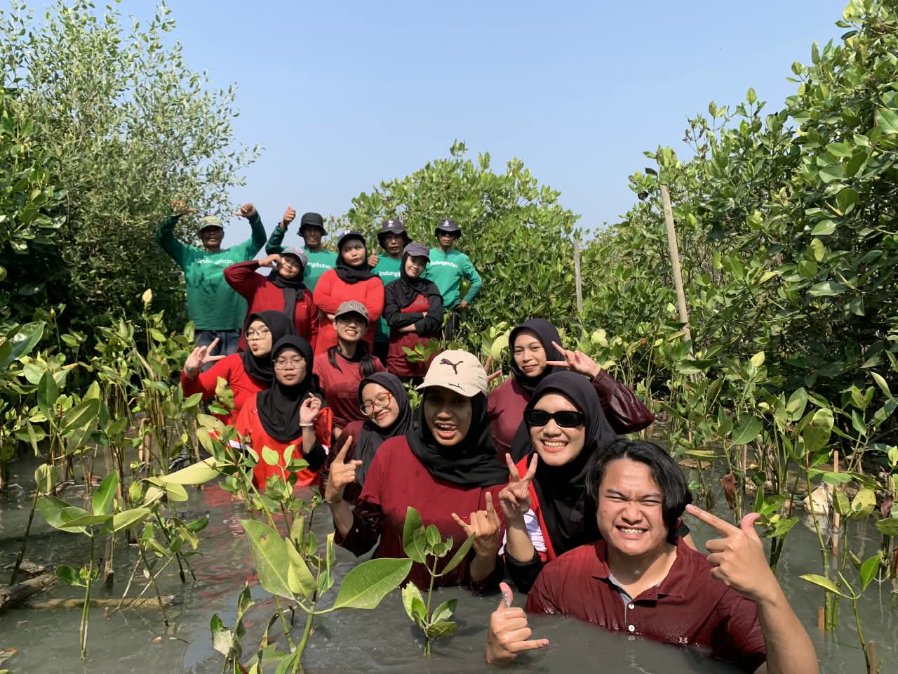 UKM PIB USM Tanam Mangrove di Pesisir Semarang, Wujudkan Kepedulian Lingkungan