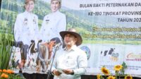 Tingkatkan Produksi Susu Sapi Perah, Pemprov Jateng Dorong Inseminasi Buatan