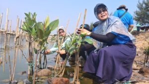 Inovasi Ekosistem Hijau PLN Indonesia Power Perkuat Ketahanan Pesisir Semarang