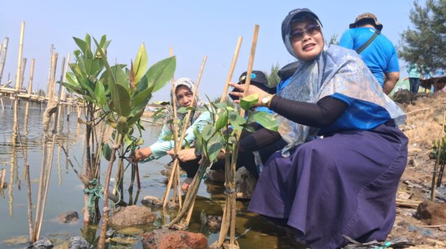 Inovasi Ekosistem Hijau PLN Indonesia Power Perkuat Ketahanan Pesisir Semarang