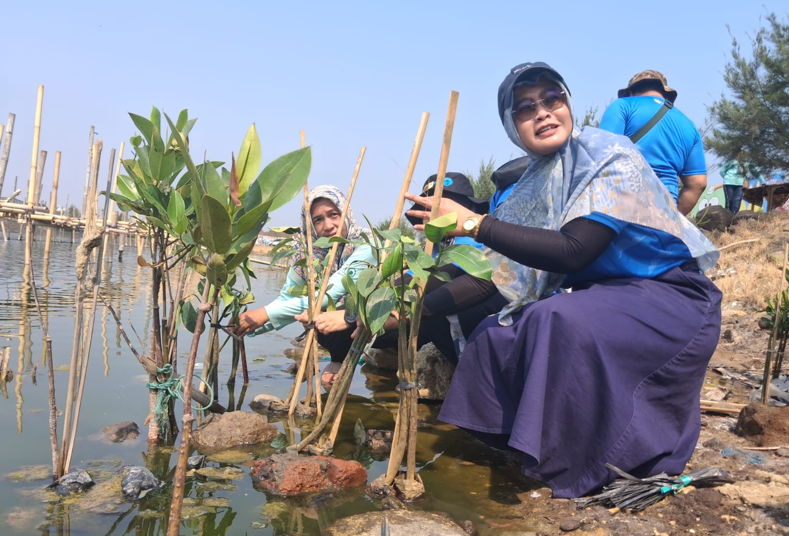 Inovasi Ekosistem Hijau PLN Indonesia Power Perkuat Ketahanan Pesisir Semarang