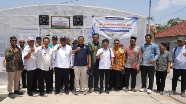 UNDIP Hadirkan Teknologi Surya-Biomassa untuk Percepat Pengeringan Rumput Laut Brebes