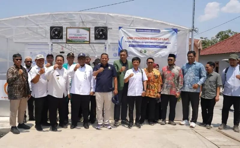 UNDIP Hadirkan Teknologi Surya-Biomassa untuk Percepat Pengeringan Rumput Laut Brebes UNDIP Hadirkan Teknologi Surya-Biomassa untuk Percepat Pengeringan Rumput Laut Brebes